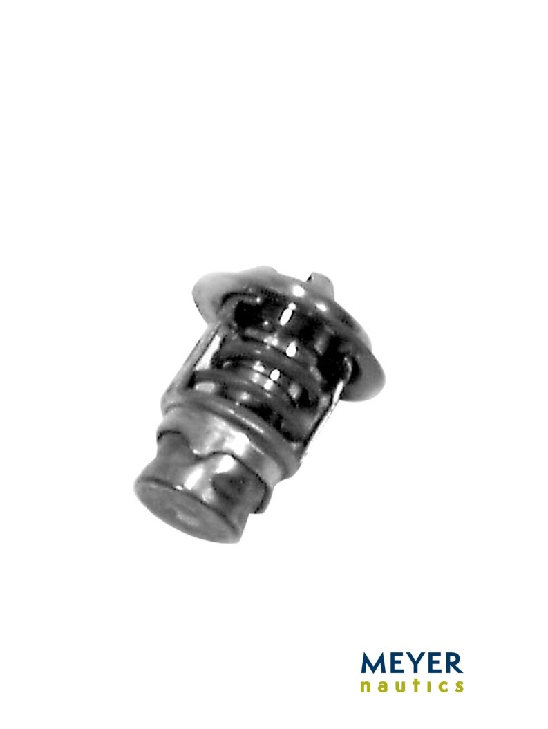 Thermostat 120 Grad Fahrenheit / ~ 49° Celsius Bild 1