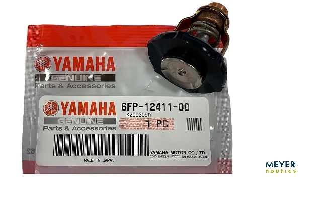Thermostat  Yamaha Bild 1