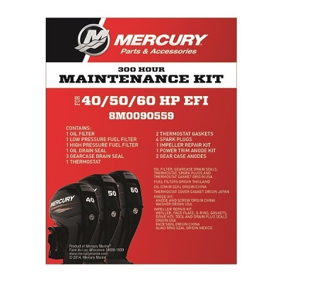 Service Kit F40-60 EFI 4-Stroke 100 Stunden Bild 1